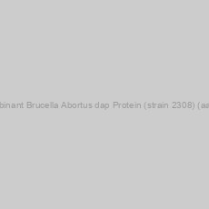 Image of Recombinant Brucella Abortus dap Protein (strain 2308) (aa 1-518)